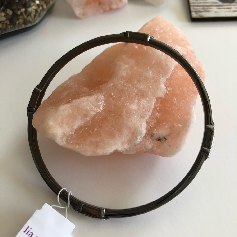 NWT Lia Sophia "Manli" Silver/Hematite Bangle